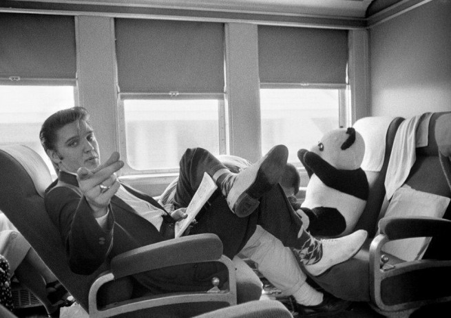 Еднометрова плюшена панда се е появила неизвестно откъде през първия ден във влака. 1956г.