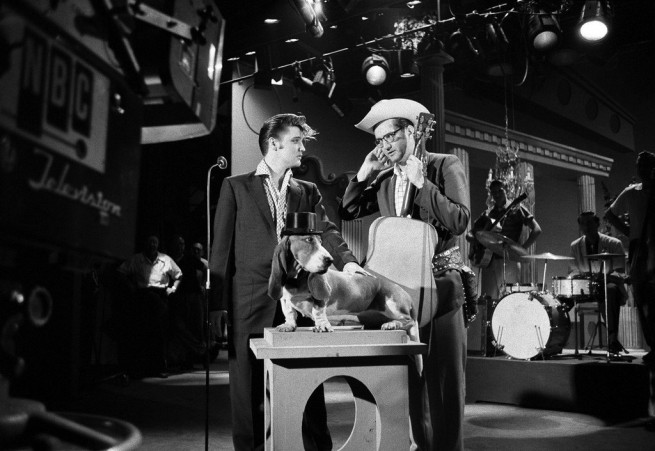 Елвис, Стив Алън и куче басет. Стив Алън и Елвис обсъждат на репетицията как Елвис ще изпее "Hound Dog" на кучето, което стои на пиедестал и носи цилиндър. 1 юли 1956г.