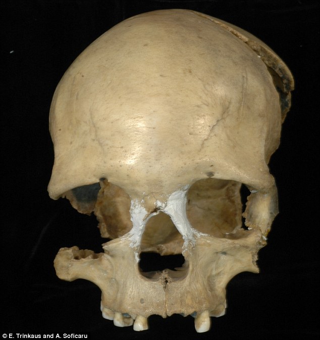 3460106000000578-0-Picture_of_the_female_skull_from_the_Pestera_Muierii_cave-a-5_1463657489442