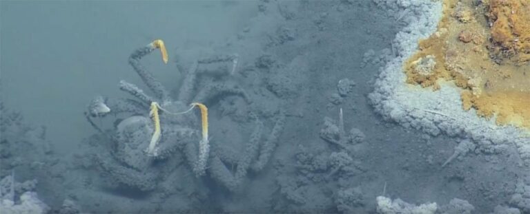 Откриха езеро под морето, от което никой не се връща жив (ВИДЕО+СНИМКИ)