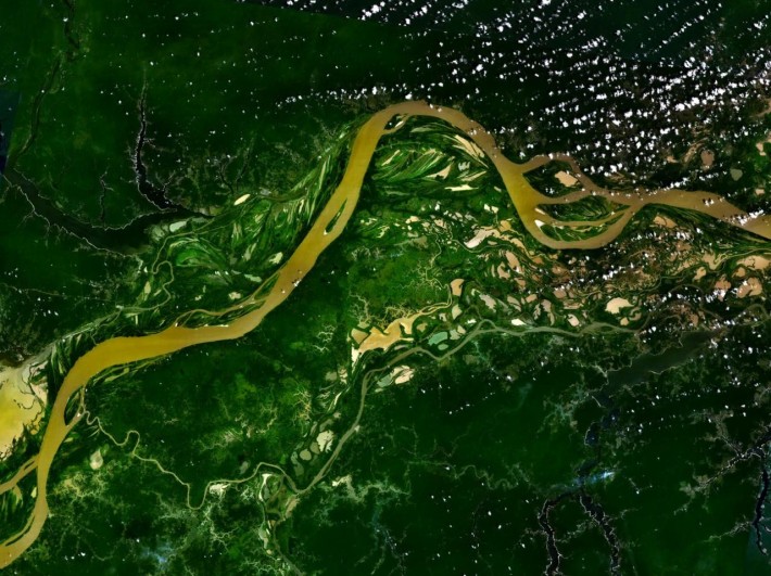 Амазонската дъждовна гора произвежда 20% от кислорода