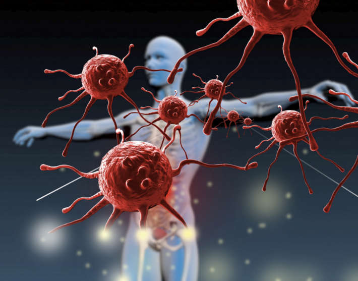 5 факта за имунната система