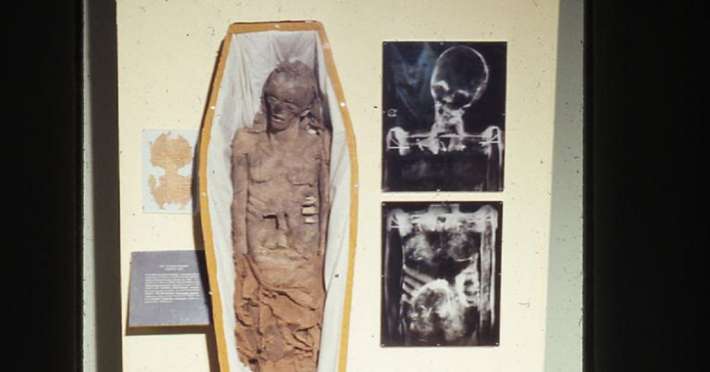 7. Мумията от Мисисипи: Египетска мумия, направена от животински ребра, нокти и папиемаше