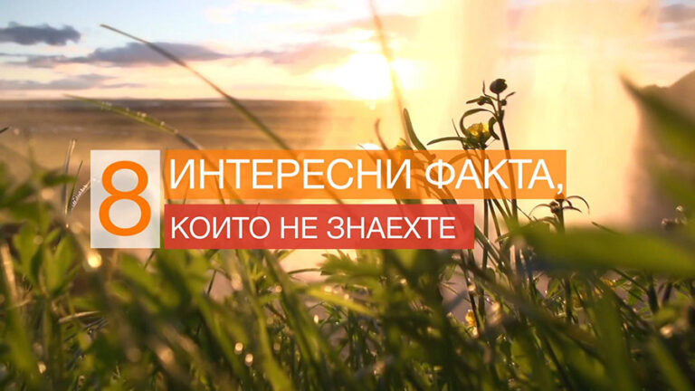 8 интересни факта, които не знаехте