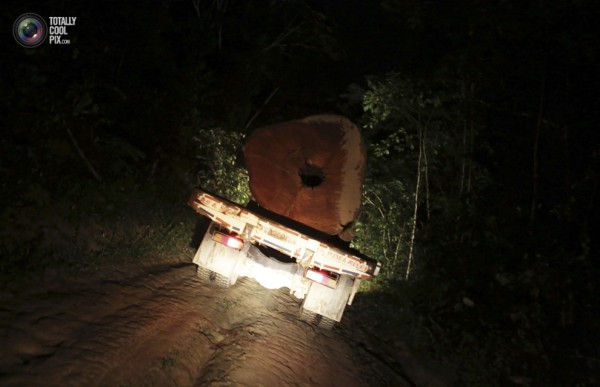 Камион превозва нелегално отрязано дърво от амазонската джунгла през нощта близо до град Уруара.