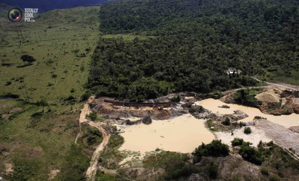 Унищожаването на Амазонската джунгла