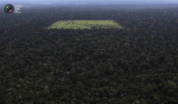 На тази снимка виждаме вътрешността на амазонската джунгла, разчистена за обработваема земя близо до Сантарем.