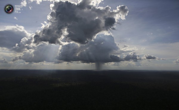 Унищожаването на Амазонската джунгла