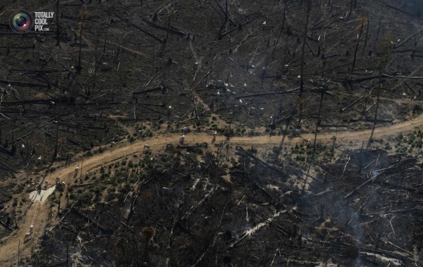 Амазонска гора, опожарена, за да се разчисти земя за пасища близо до Ново Прогресо.