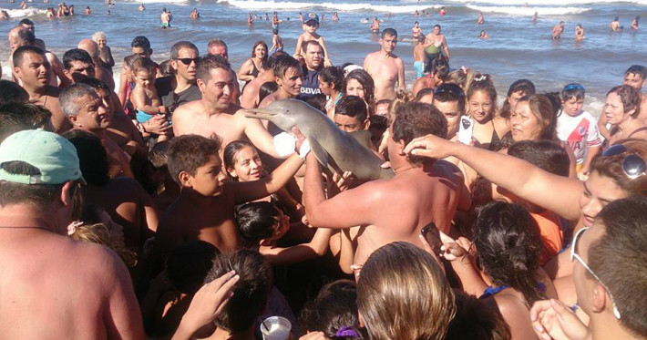 Туристи убиха бебе делфин, за да си направят селфи с него