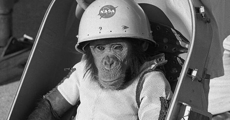 Най-известните животни в историята