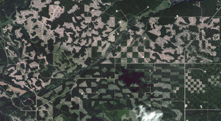 Обезлесяване, пътища, сеизмични линии и петорлни проучвания близо до езеро Бърнстик, Албърта.