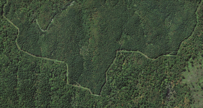 Зиг-заг през гората, бележещ границата между САЩ и Канада близо до щата Мейн.