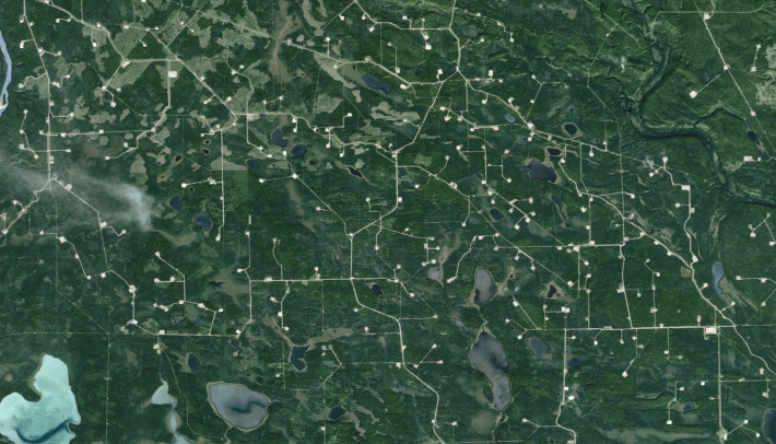 Сеизмични линии за проучване за природен газ близо до Едсън, Албръта.