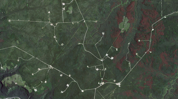 Сеизмични линии за проучване за природен газ в северна Британска Колумбия.
