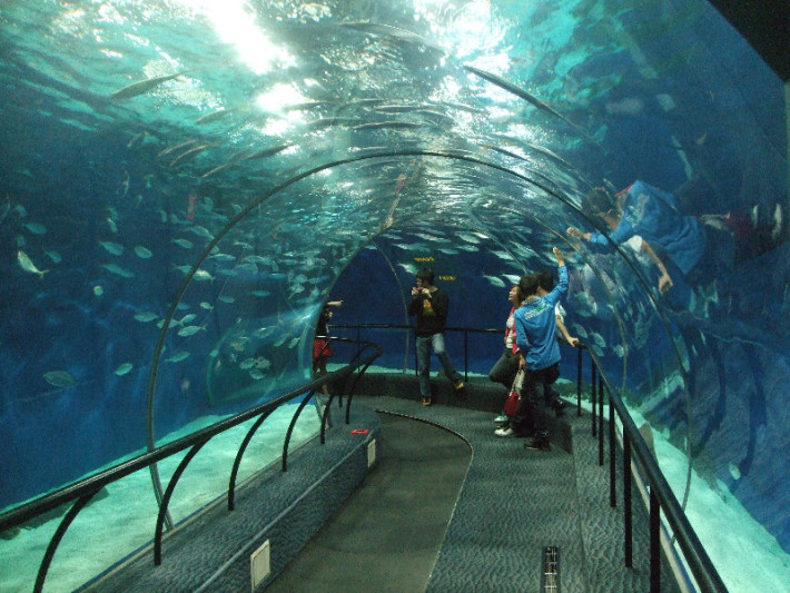 Шанхайския аквариум