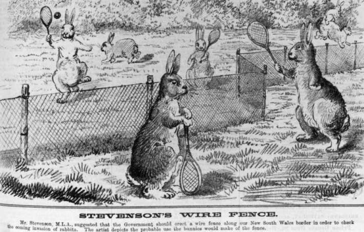 Как зайците превземат Австралия