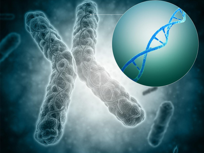 Откриха непокътнат древен вирус в човешкото ДНК